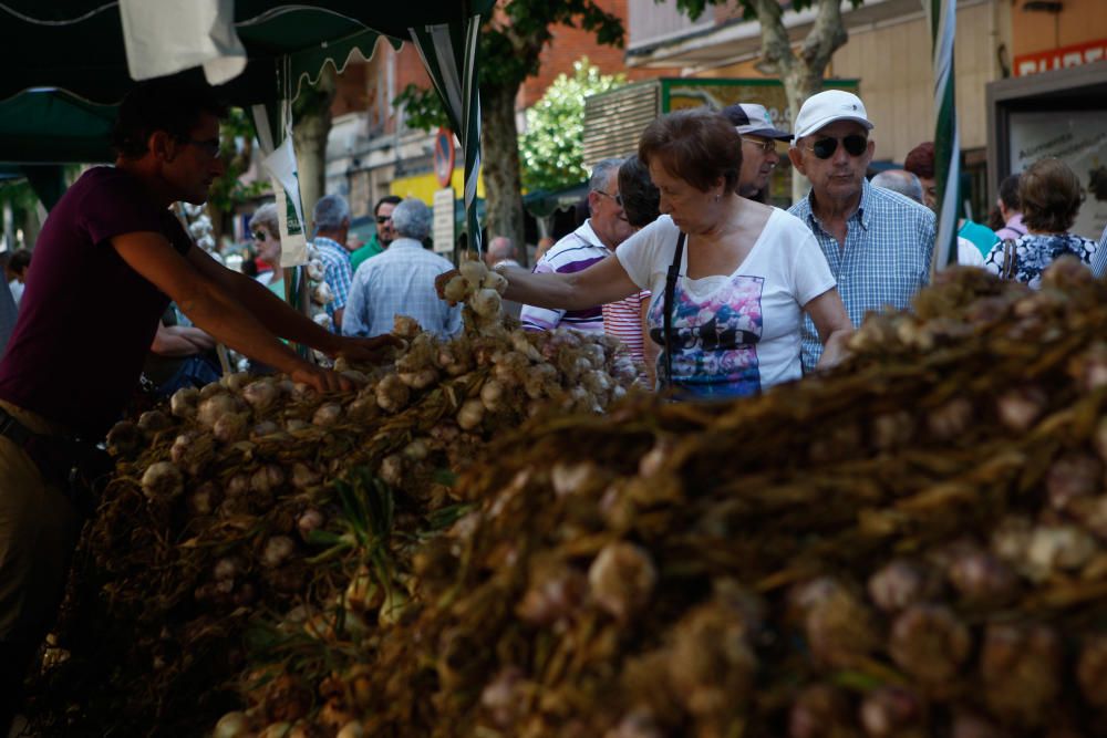 San Pedro 2016: Feria del Ajo