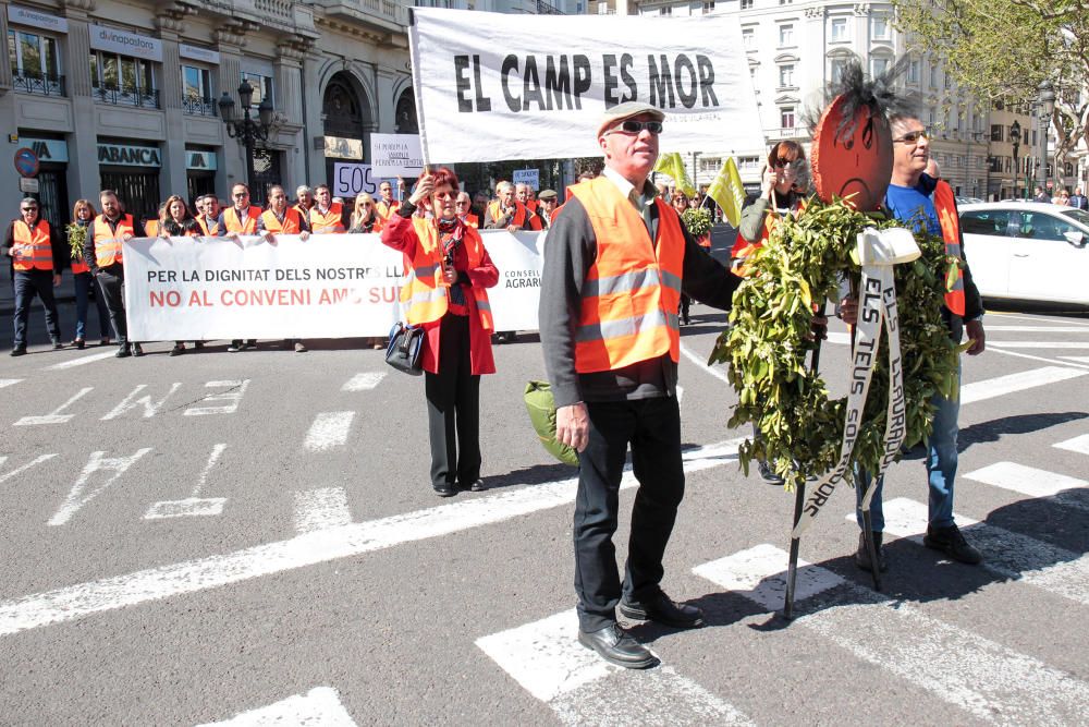 Manifestación en defensa del sector citrícola