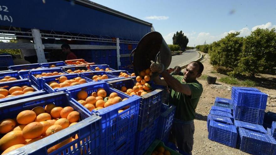 Castellón gana en un año 1.526 afiliados extranjeros