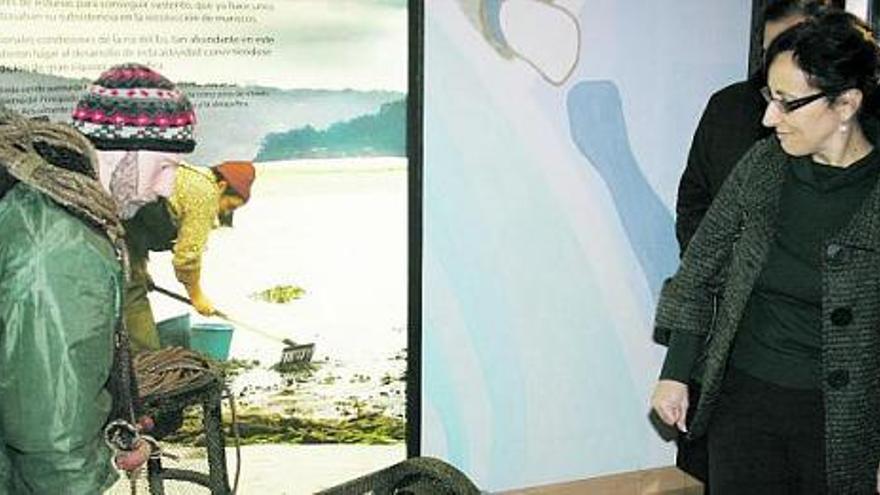 La viceconsejera de Medio Ambiente del Principado, Belén Fernández, observa un muñeco que representa a un mariscador en la exposición del museo.