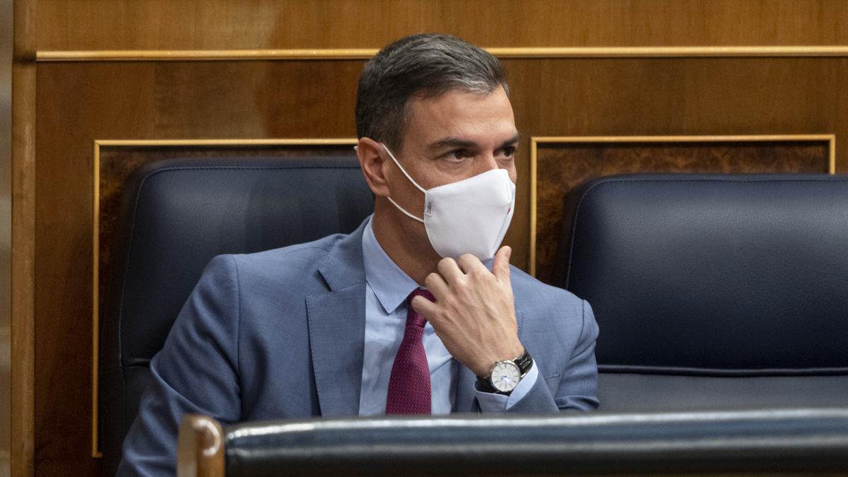 Pedro Sánchez, en el Congreso.