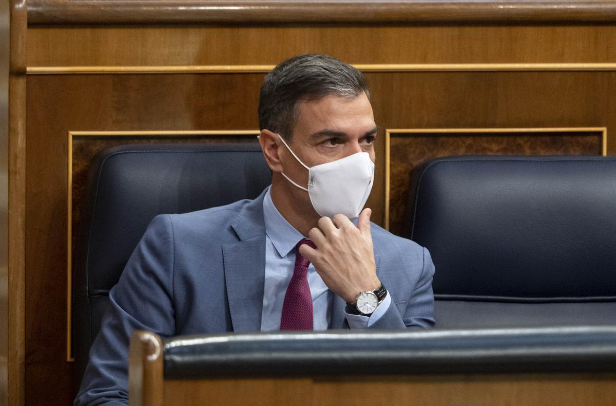 Pedro Sánchez, en el Congreso.