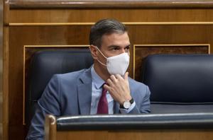 Pedro Sánchez, en el Congreso.