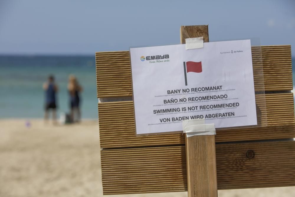 Cierran las playas de Can Pere Antoni, Ciutat Jardí y el Molinar por un vertido