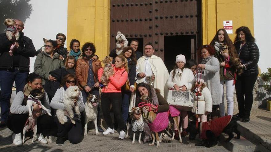 San Antón en Puerta Nueva