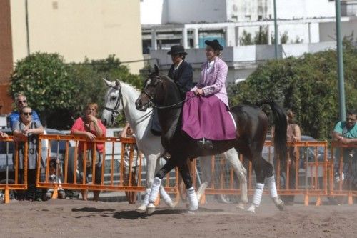 FERIA ROCIERA DE OCTUBRE EN TEROR