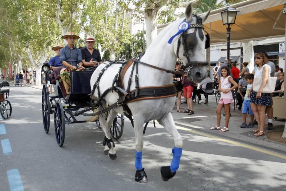 Día del Caballo en Alfonso X