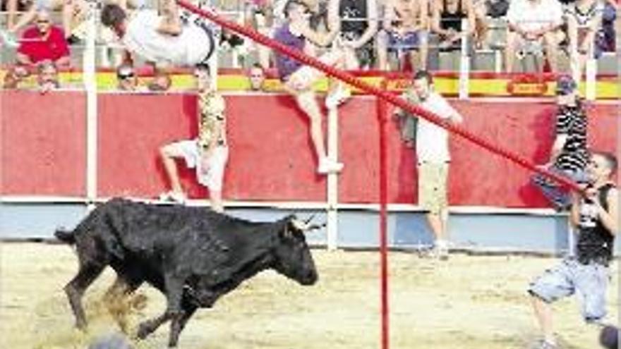 Imatge d&#039;arxiu dels correbous a la plaça de l&#039;any passat.