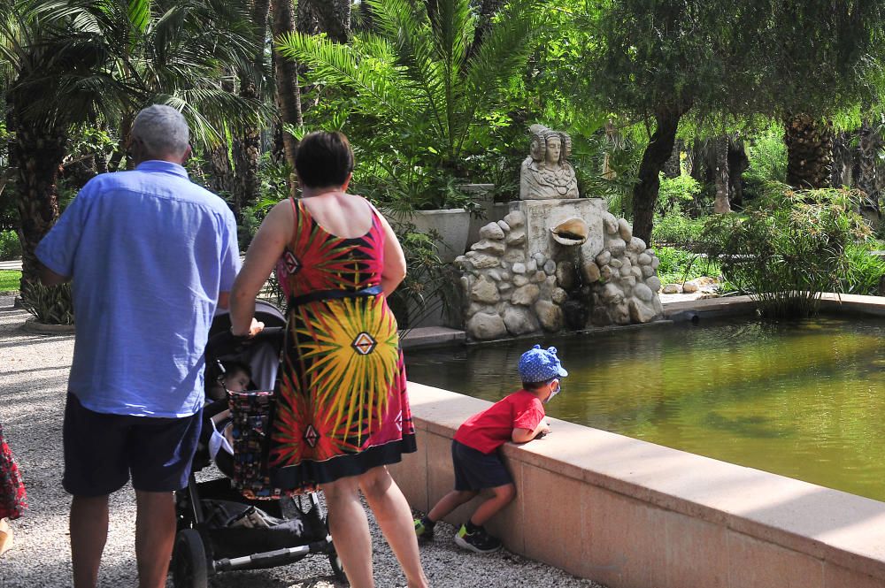 El Jardín Huerto del Cura reabre tras tres meses