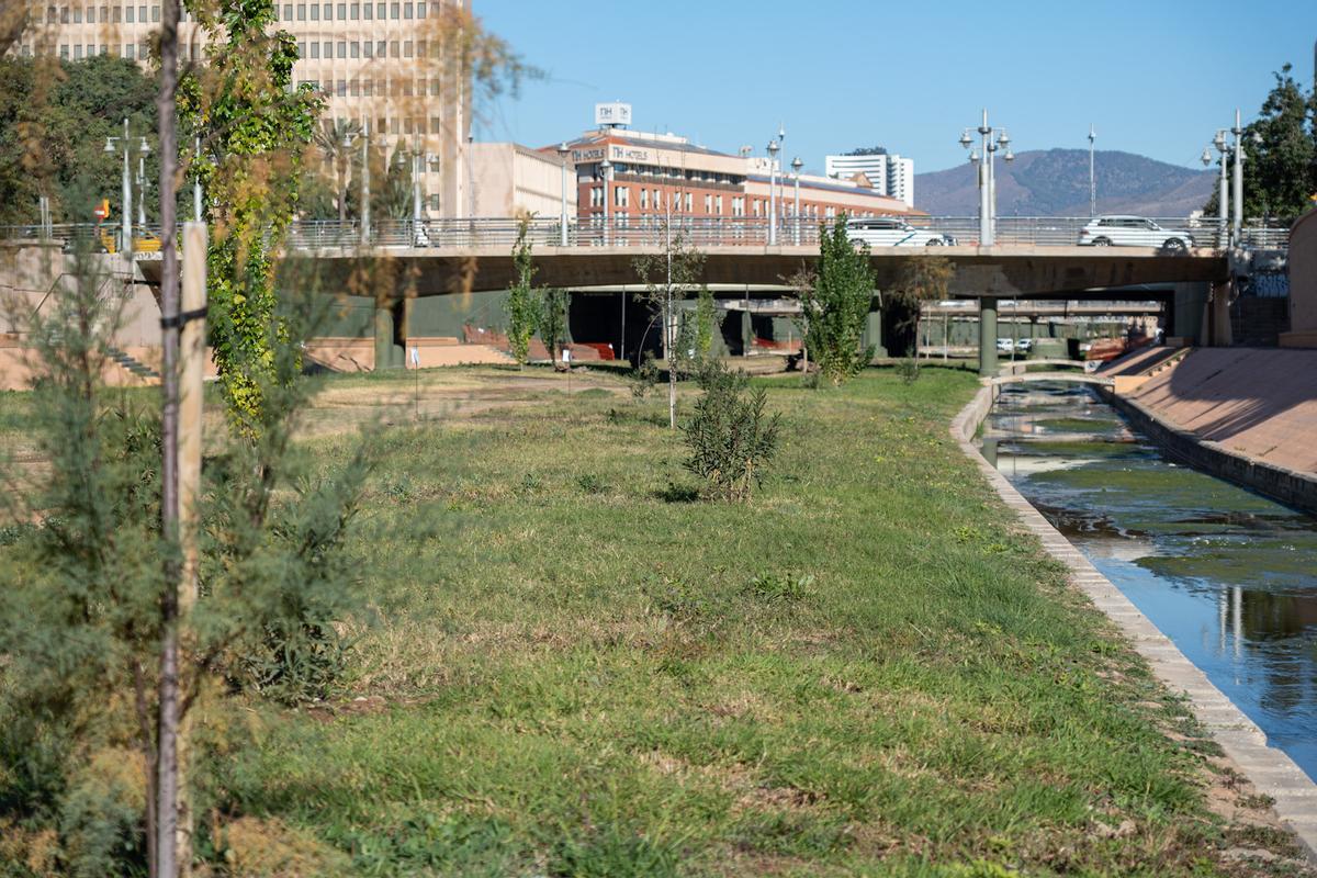 Trabajos para la creación de praderas de biodiversidad en el último tramo del río Guadalmedina