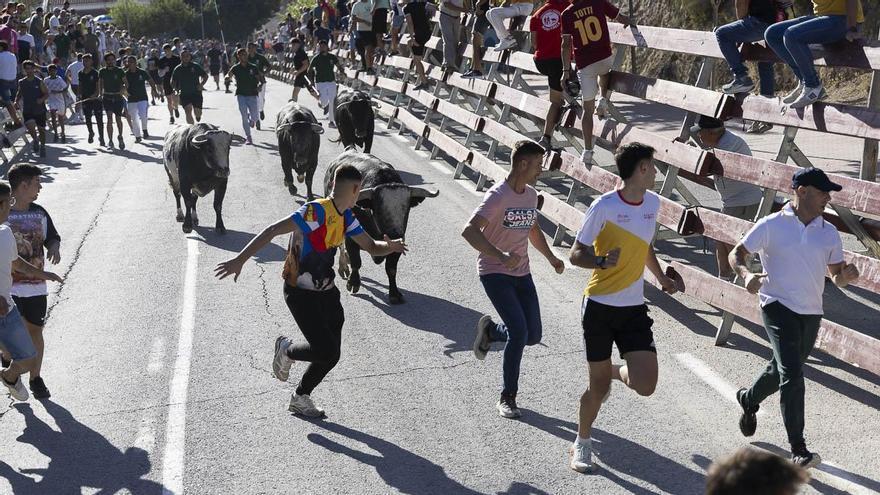 Los novillos de Rehuelga han protagonizado un encierro rápido y limpio en Calasparra