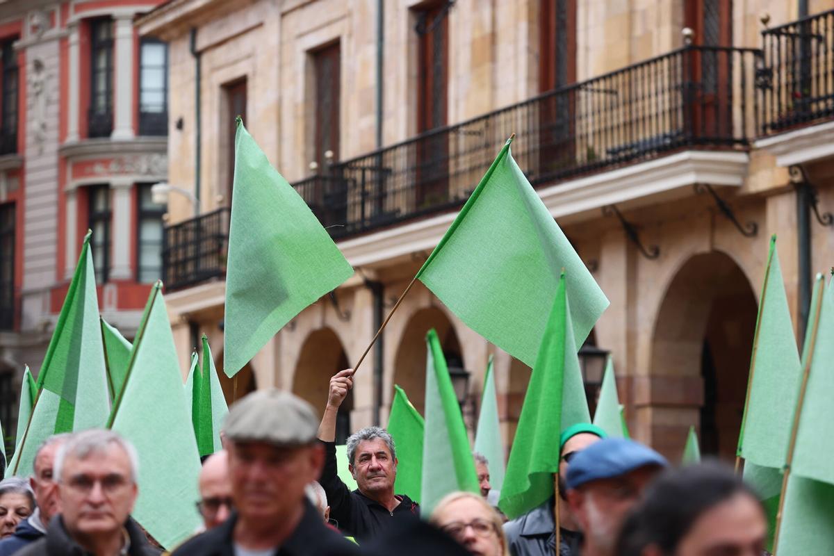 La manifestación para pedir la paralización del parking del Campillín.