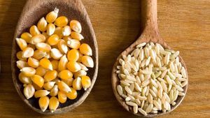 Archivo - Cereales, semillas, comida, exportaciones