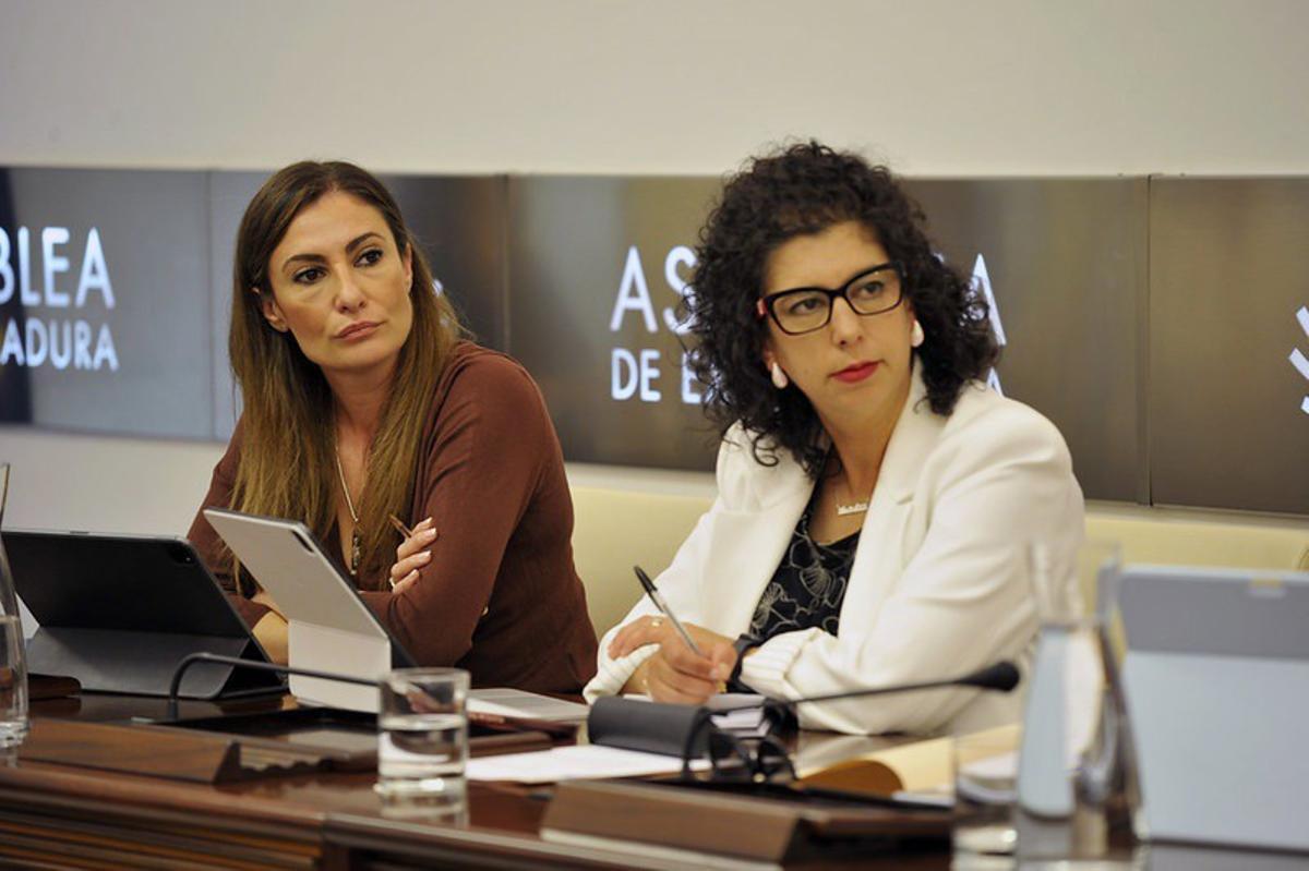 La portavoz de Educación del Grupo Parlamentario Socialista, Lara Garlito, en la comisión del ramo en la Asamblea de Extremadura.