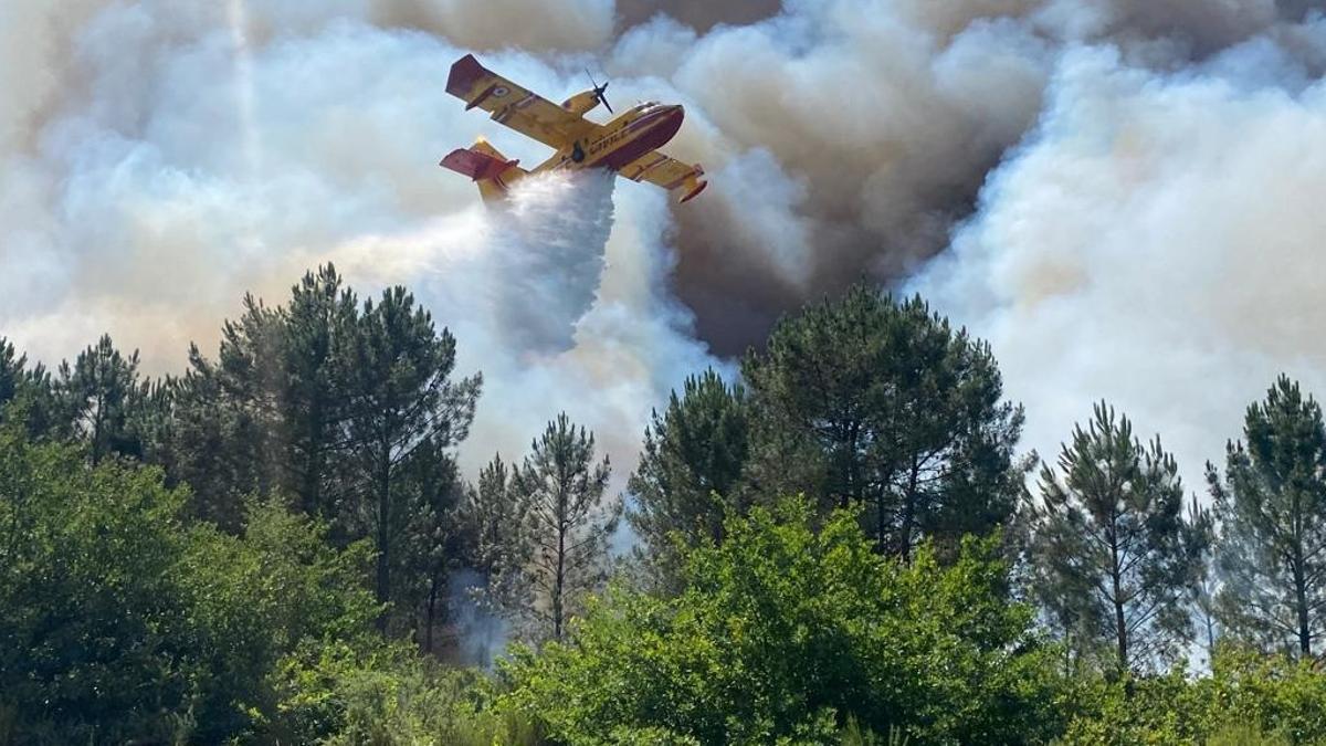 Forest fire in France Landiras (France), 16/07/2022.- A handout picture made available by the Gironde Fire and Rescue Departmental Service 33 (SDIS 33) shows forest fire in Landiras, France, 16 July 2022 (issued 17 July 2022). The Gironde area of France is in the grip of two wildfires with over 10,000 hectares already burned. (Incendio, Francia)