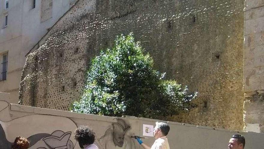 Un vecino observa el trabajo realizado por los artistas en el muro.