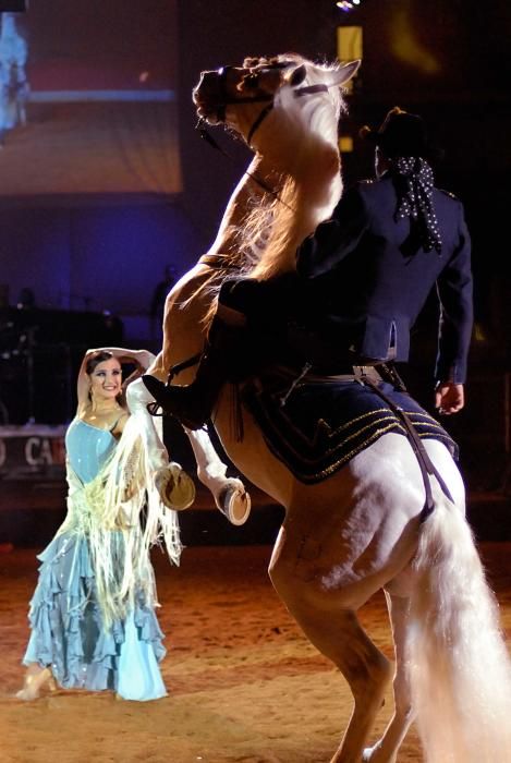 Manolo Carrasco saca a bailar los caballos en Passión Andaluza