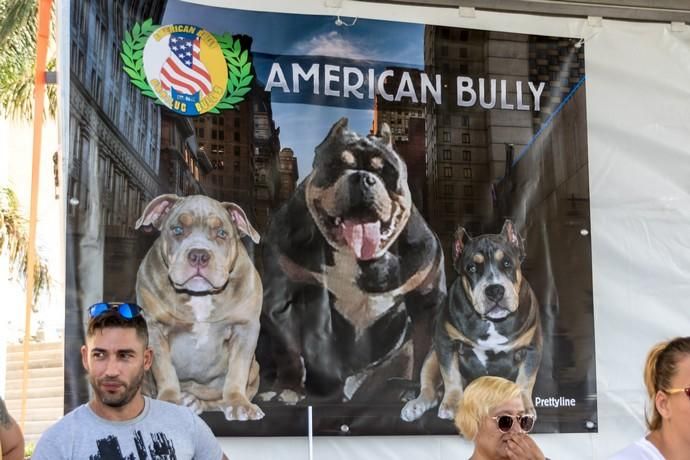 II Feria de Mascotas en Maspalomas