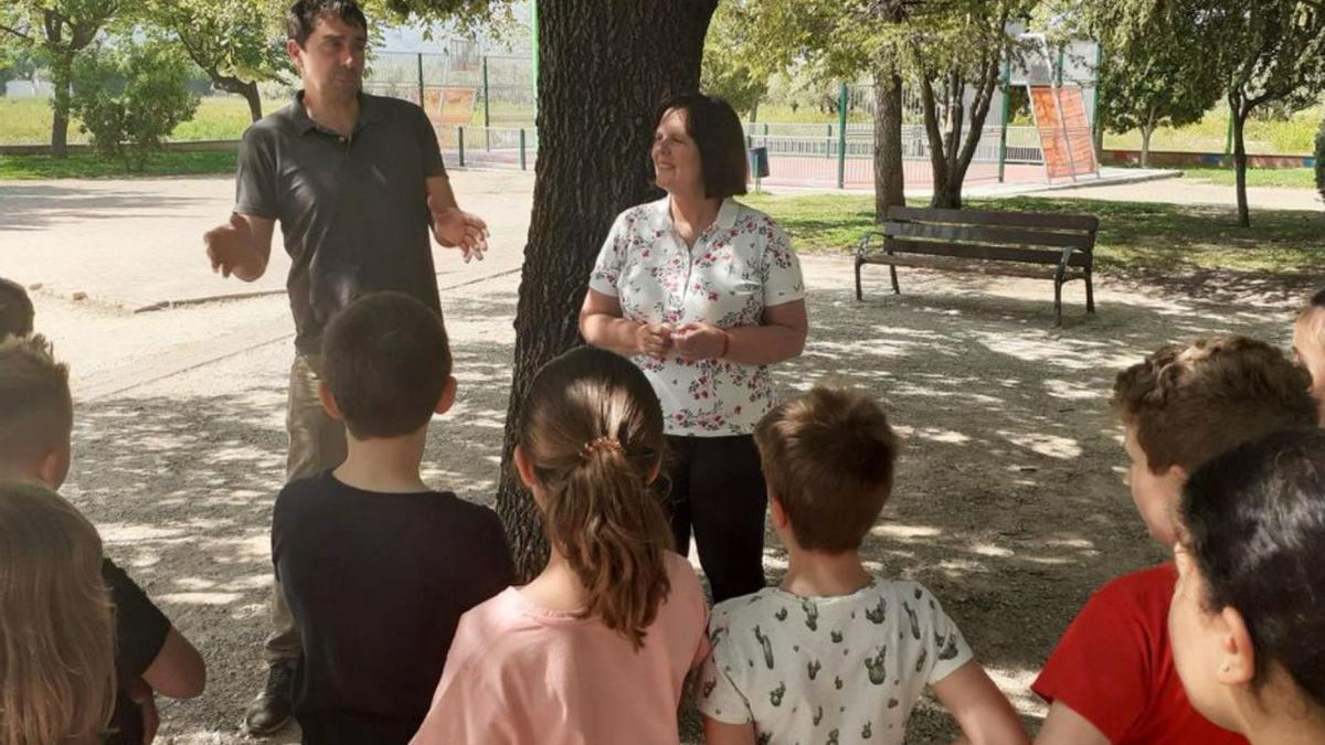 25.000 insectos antiplaga en Ontinyent | LEVANTE-EMV