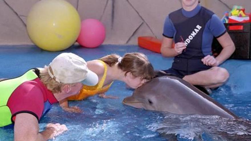 Diez años de terapia con delfines