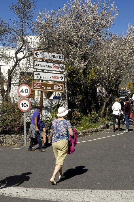 Fiestas del Almendro en Flor en Tejeda