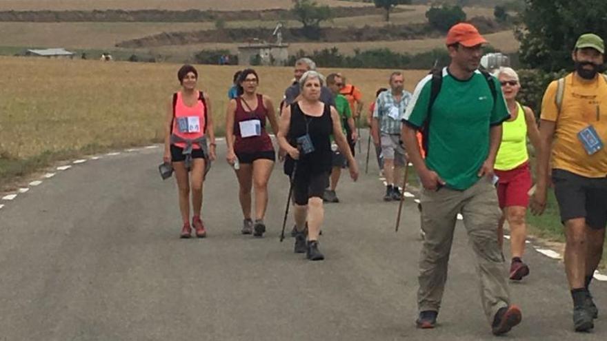 La Caminada popular al Vinyet de Solsona bat el rècord de participació amb 237 persones