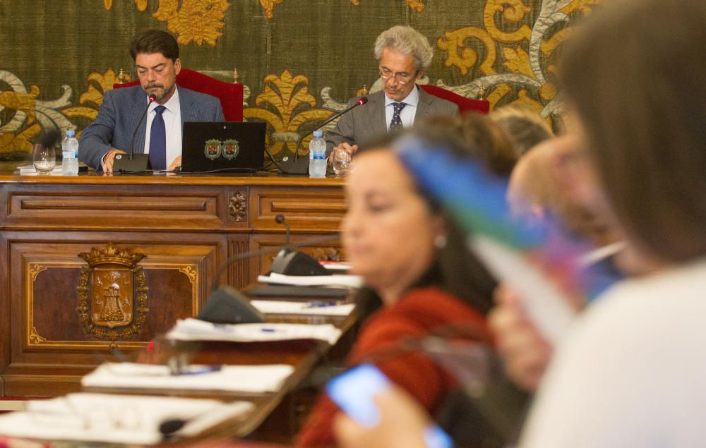 Pleno del Ayuntamiento de Alicante