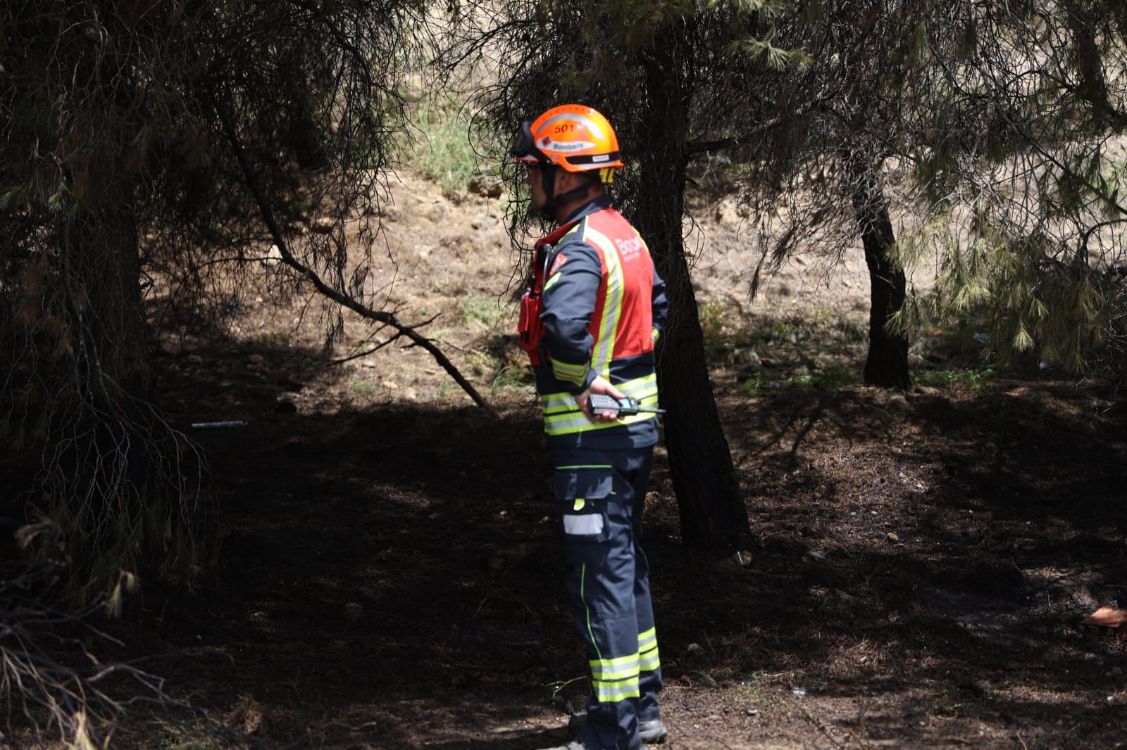 Los bomberos sofocan un fuego junto a la salida del túnel de la autovía
