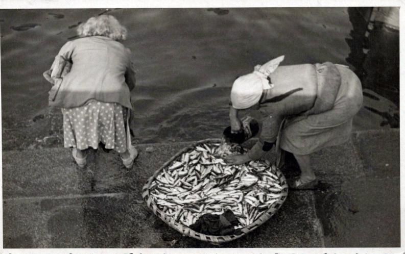 Pescantinas en O Berbés