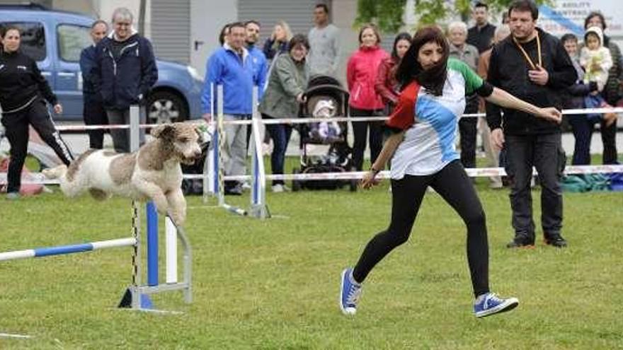 Uno de los perros y su entrenadora, durante la prueba. // Bernabé/J. Lalín