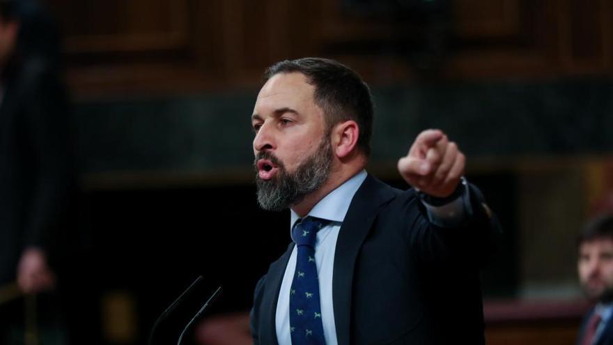 Santiago Abascal, en el Congreso. // Jesús Hellín