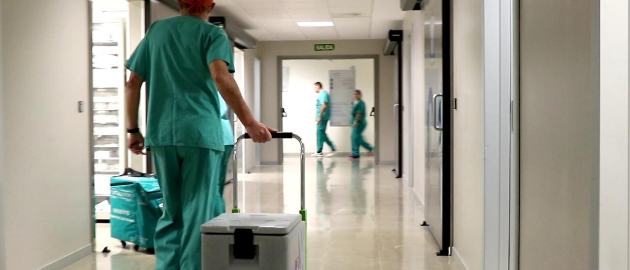 Un miembro del equipo de trasplantes en el Hospital La Fe de València.