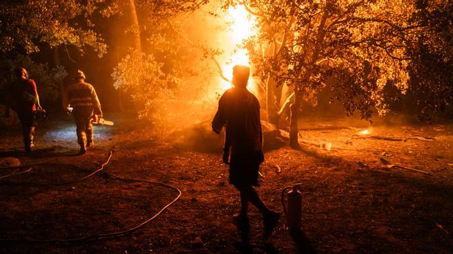 Los factores climáticos que aumentan el riesgo de incendios extremos en España han aumentado un 50% en menos de medio siglo