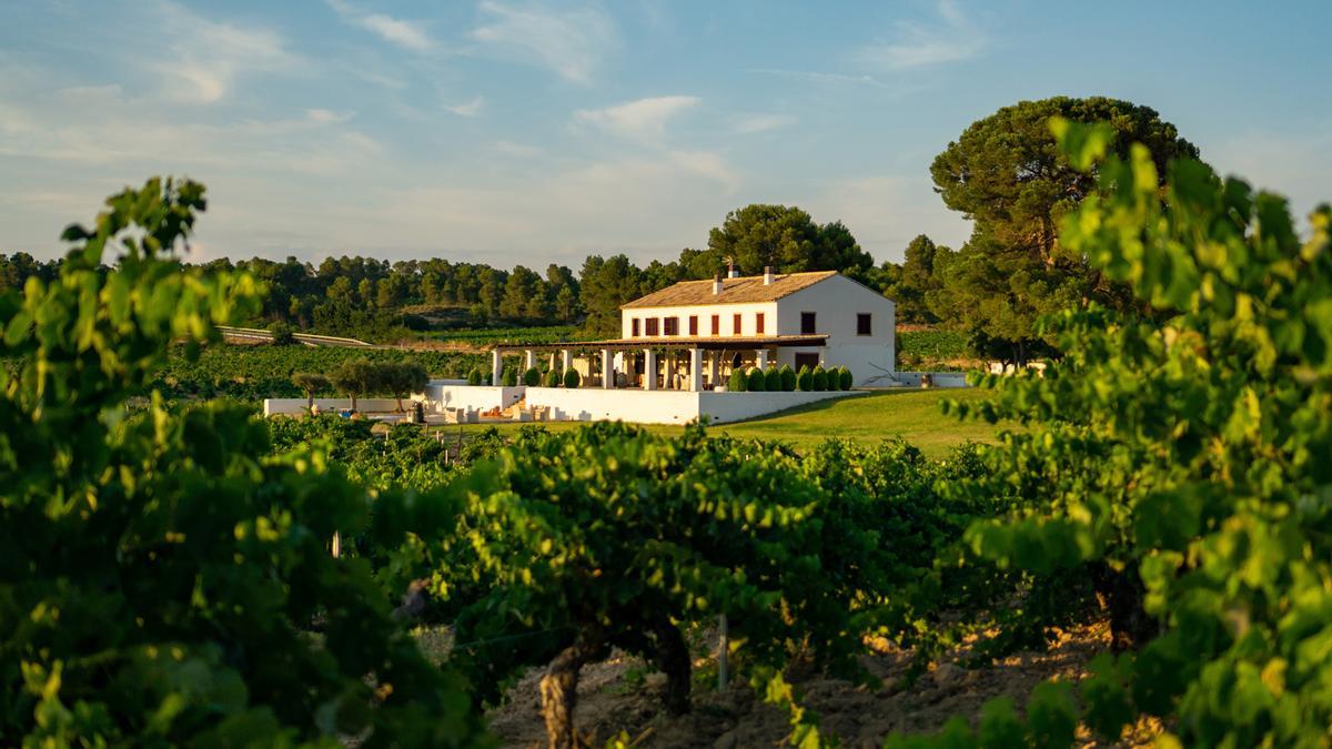 Las bodegas Luis Corbí apuestan por una nueva experiencia de enoturismo.