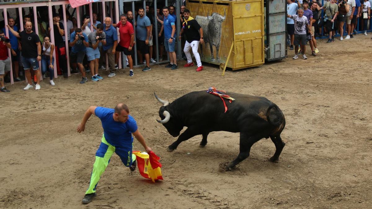 El apartado taurino volverá a ser protagonista de los festejos patronales con el apoyo de las peñas locales.