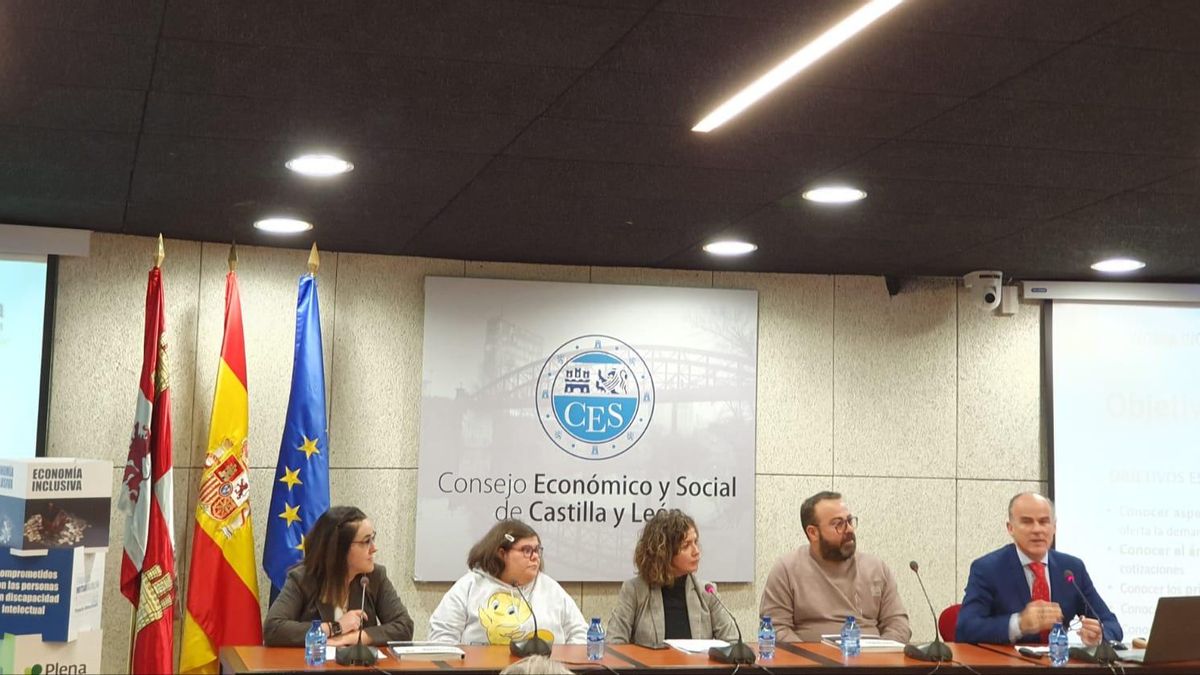 Participantes de Plena Inclusión en la jornada del CES