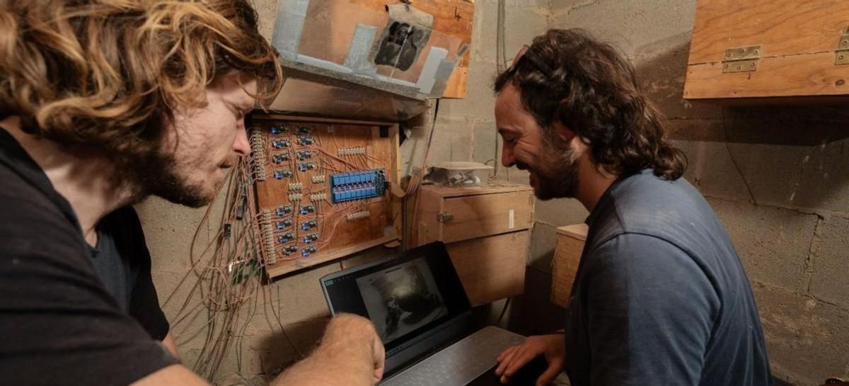 Un bosc digital a Collserola per estudiar aus