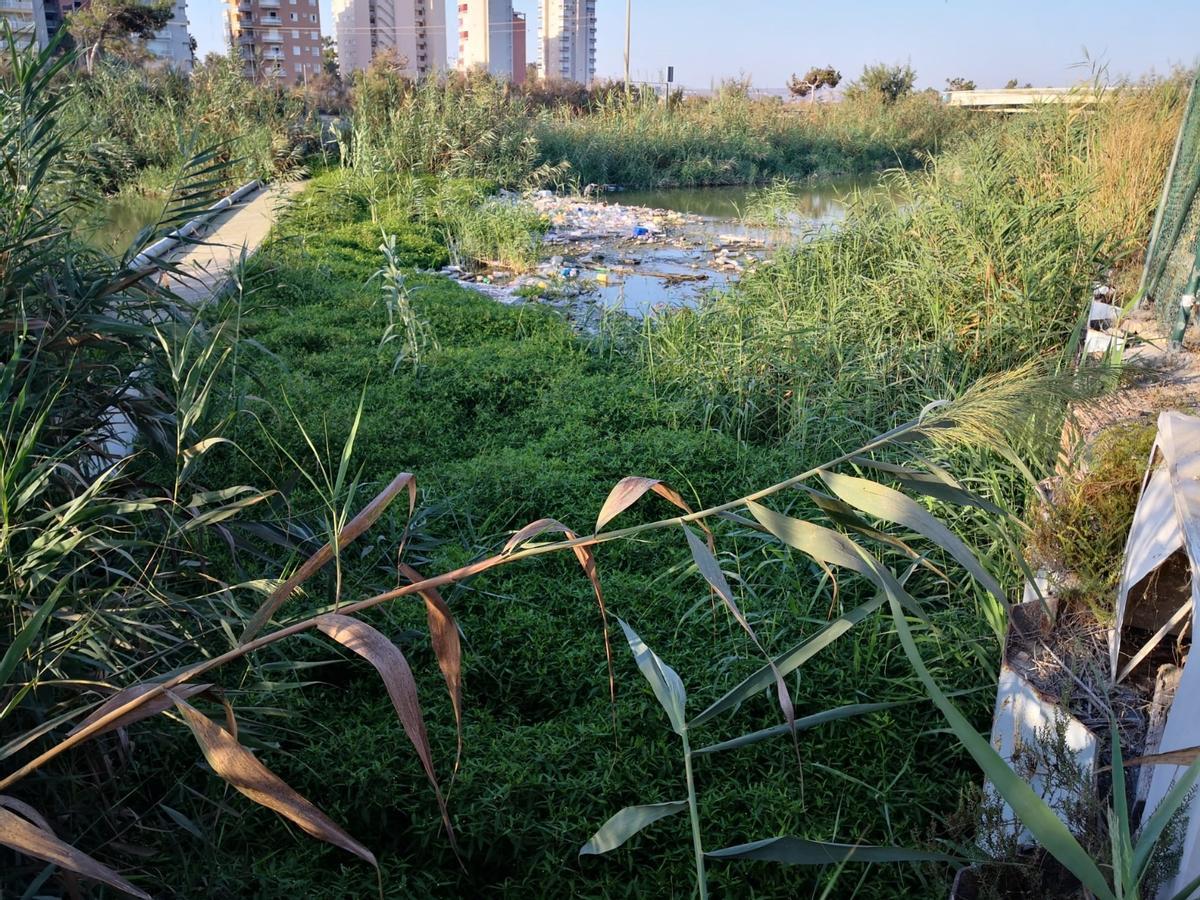 La basura se acumula en la pantalla flotante del cauce viejo. La instalación fue modernizada en 2018 pero no tiene mantenimiento mínimo