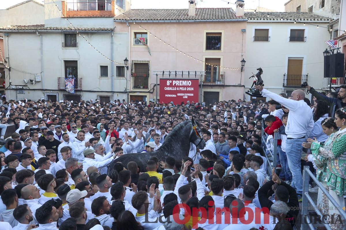 Entrega de premios del concurso de 'Caballo a pelo' en Caravaca