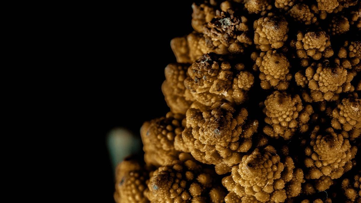 ¿De dónde viene la peculiar estructura geométrica del romanesco?