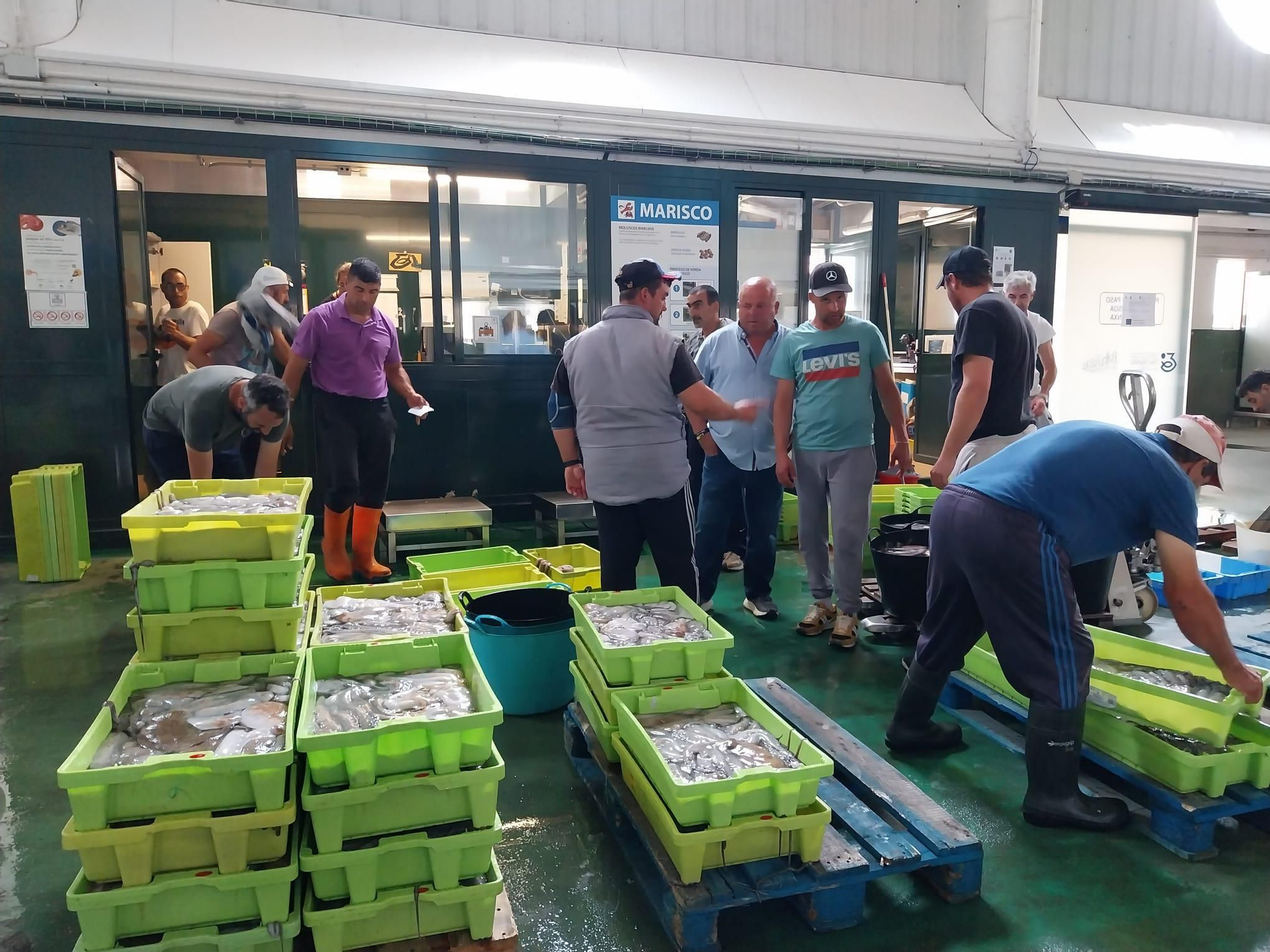 El inicio de la campaña del pulpo en el puerto de Bueu