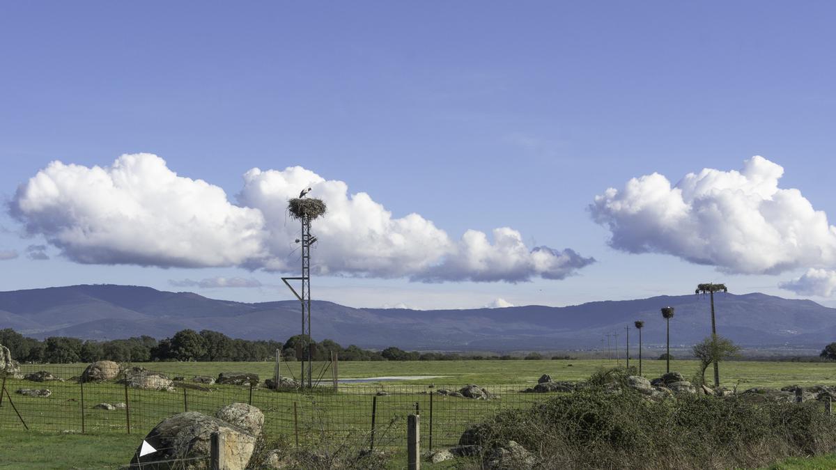Fotogalería| Tiempo primaveral este jueves