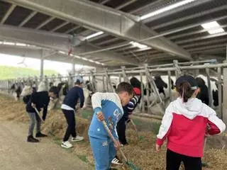 Clun acercará la producción láctea de Feiraco y Clesa con visitas escolares a centrales y granjas