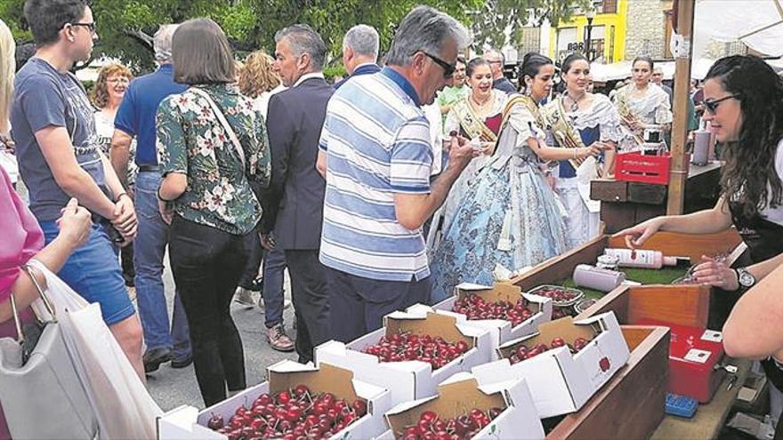 La cereza reina en la Salzadella pese a una campaña irregular