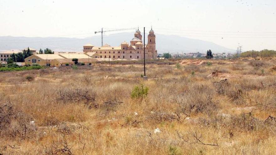 Terrenos que el Consistorio cedió a la UCAM, fotografiados en 2005, año de esta operación.