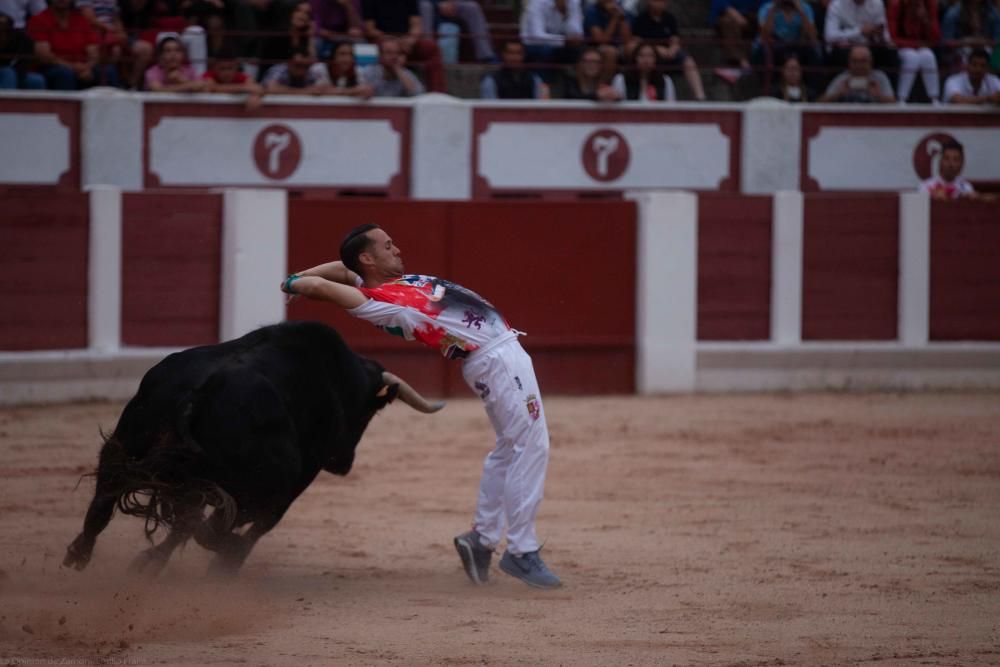 Concurso de cortes San Pedro