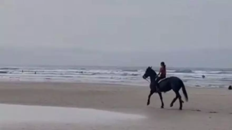 Pasea con un caballo en una playa de Canarias