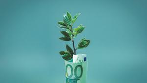 Una planta en un billete de 100 euros