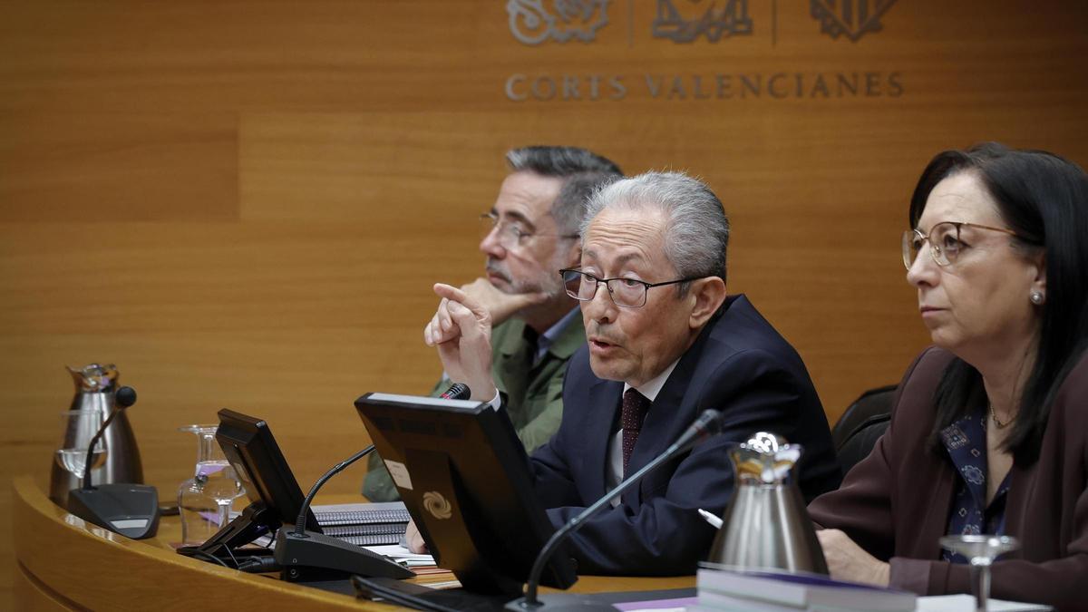 El síndic de Greuges, Ángel Luna, comparece en las Corts para explicar su informe de 2024 y 2025.