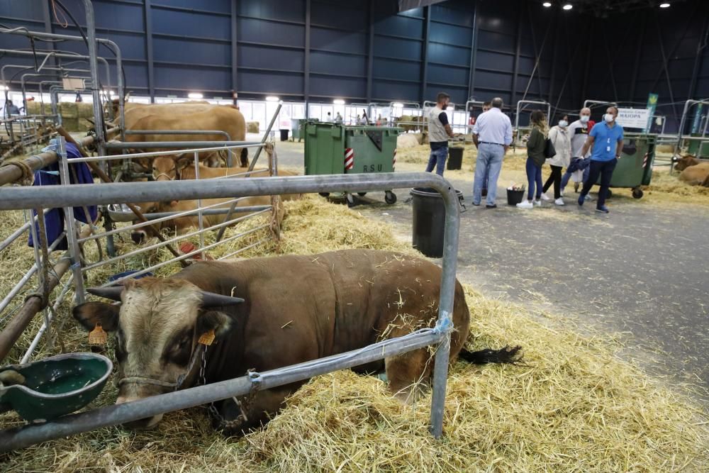 Agropec cierra su cita en Gijón